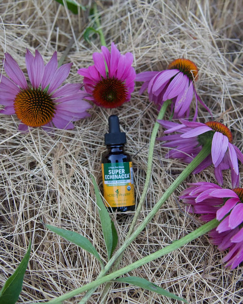 Herb Pharm Certified Organic Super Echinacea Liquid Extract, 1 Ounce, Immune System Support