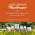Host Defense MycoBotanicals Energy* Capsules - Energy & Respiratory Support with Cordyceps, Reishi & Chaga - 60
