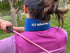 Ice Wraptor Bandana + Insert, Portable Ice Therapy for Pain Relief, Adjustable Fit, Lightweight, 1 Cryosheet Insert