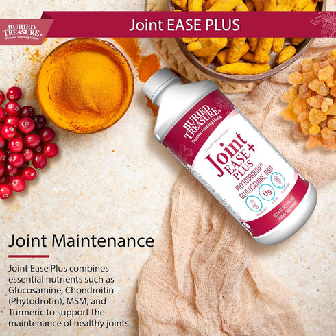 Buried Treasure Joint Ease Plus - 16 fl oz, Glucosamine Chondroitin with MSM and Turmeric for Joint Support