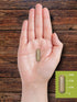 Carlyle Grass Fed Beef Pancreas, 550mg, 200 Capsules, Desiccated Pasture Raised Bovine Supplement