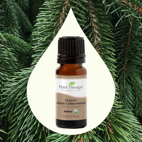 Plant Therapy Organic Atlas Cedarwood Essential Oil 100% Pure, USDA Certified Organic - Therapeutic Grade 10 mL (1/3 oz)