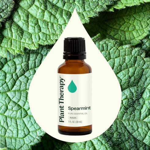 Plant Therapy Spearmint Essential Oil 30 mL (1 oz) 100% Pure, Undiluted