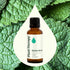 Plant Therapy Spearmint Essential Oil 30 mL (1 oz) 100% Pure, Undiluted