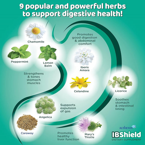 IBShield Tincture 100ml - 9 Herb Blend for Healthy Gastrointestinal Function with Chamomile, Licorice & More