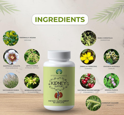 Kidney Support Herbal Supplement, 1000 MG Caplet for Healthy Kidney Function, Vegan, Gluten-Free