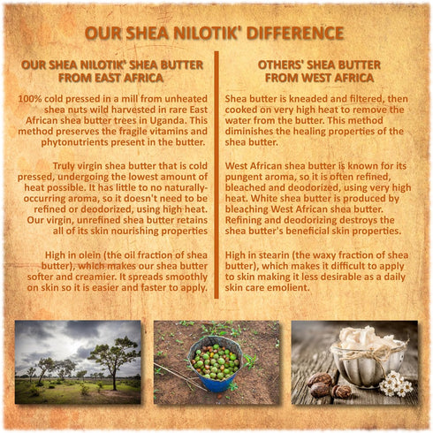 Shea Terra Organics 100% Organic Cold-Pressed Virgin Shea Butter – S. African Lavender, 6 oz Anti-Aging Cream