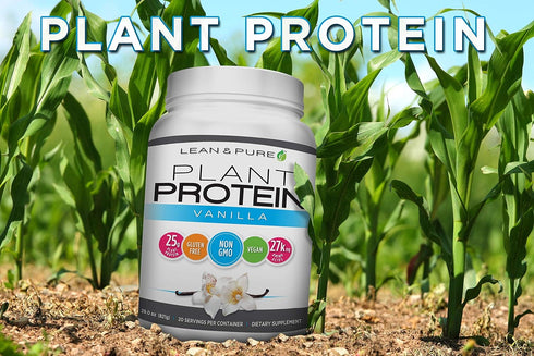 Lean & Pure Plant Vegan Protein Powder, 25g Protein, Non GMO, Gluten Free, Vanilla, 821g