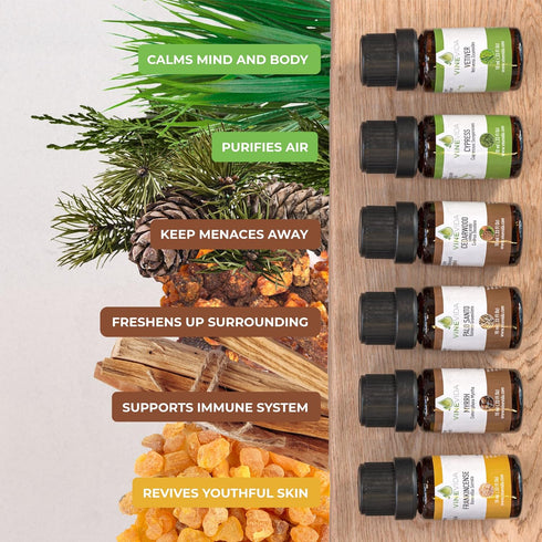 Set (10ml 6 Vinevida Essential Oils for Aromatherapy, Massage, and Skin Care Each), Top Picks for Spiritual Peace.