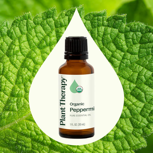 Plant Therapy Organic Peppermint Essential Oil, 100% Pure, USDA Certified Organic, 30 mL (1 oz)