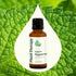 Plant Therapy Organic Peppermint Essential Oil, 100% Pure, USDA Certified Organic, 30 mL (1 oz)