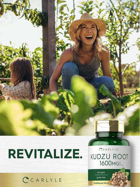 Carlyle Kudzu Root | 100 Extract Capsules | Non-GMO and Gluten Free Traditional Herbal Supplement