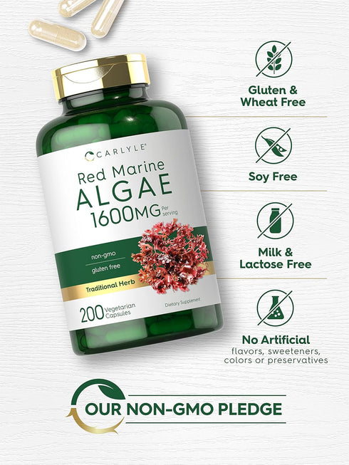 Carlyle Red Marine Algae 1600mg, 200 Capsules, Vegetarian Supplement, Non-GMO, Gluten Free