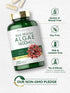 Carlyle Red Marine Algae 1600mg, 200 Capsules, Vegetarian Supplement, Non-GMO, Gluten Free