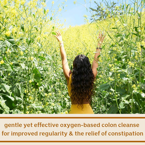 Solluna by Kimberly Snyder Feel Good Detoxy - Natural Colon Cleanse & Digestion Detox Capsules with Ozonated Elemental