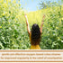 Solluna by Kimberly Snyder Feel Good Detoxy - Natural Colon Cleanse & Digestion Detox Capsules with Ozonated Elemental