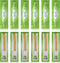 Zenia Sewak Natural Miswak Toothbrush - Vacuum Sealed Traditional Peelu Stick for Healthy Gums (Pack of 12)
