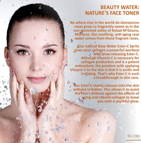 Shea Terra Organics Beauty Water - 4 oz, Toner & Face Mist with Rose Hips, Damask Rose, Ester-C