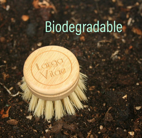 Wooden Dish Brush Made of Bamboo Wood and Natural Bristle, Includes 5 Replacement Brush Heads, Kitchen Scrubber