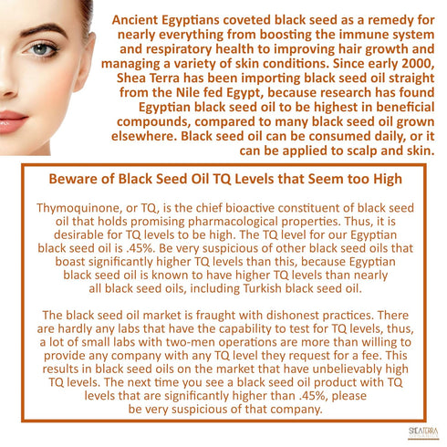 Shea Terra 3.38 oz Egyptian Black Seed Cold-Pressed Extra Virgin Oil, All Natural & Organic for Skin & Hair