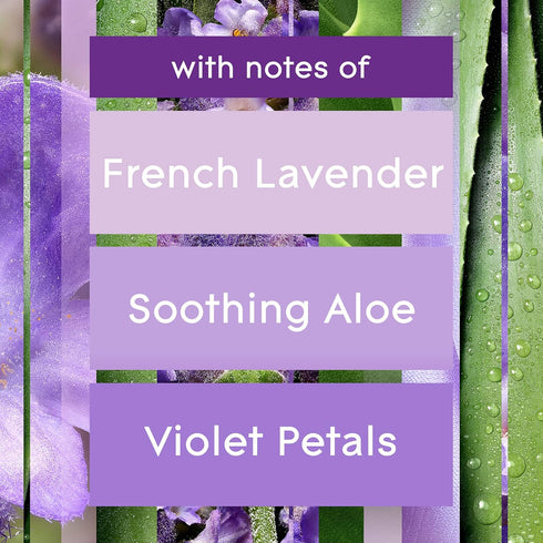 Glade Automatic Spray Refill, 6.2 Oz, 3 Count, Tranquil Lavender & Aloe Air Freshener for Home and Bathroom