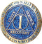 1 Year AA Medallion Reflex Blue Glitter Gold Plated Color Chip for Collectors