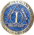 1 Year AA Medallion Reflex Blue Glitter Gold Plated Color Chip for Collectors