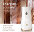 Glade Automatic Spray Refill and Holder Kit, Air Freshener for Home and Bathroom, Cashmere Woods, 2 Count (6.2 Oz)