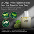 PB ParfumsBelcam Classic Match Green Eau De Toilette Spray for Men, Fresh Chypre Cologne, 2.5 Fl Oz