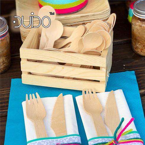 300 Pack of 3.9 inch Disposable Small Wooden Spoons, Biodegradable Mini Sample Spoons