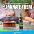 LIVE A FUNK-FREE LIFE: Shop our full catalog of odor elimination products made in the USA.