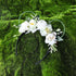 White Rose Flower Light Up Mouse Ear Headband, Floral Headwear for Women Girls, Wedding Party Costume