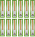 Zenia Sewak Natural Miswak Toothbrush - Vacuum Sealed Traditional Peelu Stick for Healthy Gums (Pack of 12)