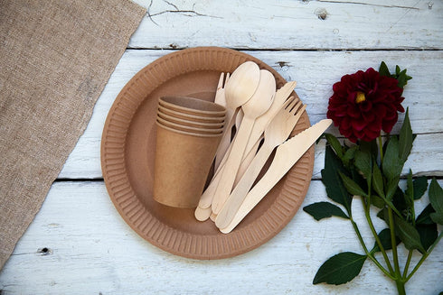 KingSeal 100 pcs Disposable Birch Wood Cutlery Spoons, Biodegradable and Earth Friendly, 6.25 Inch