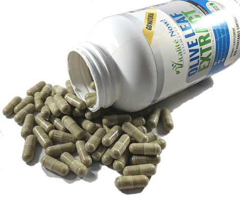 Super Strength Olive Leaf Extract - 20% Oleuropein Immune Support Supplement, 750mg Capsules, 120 Count