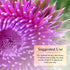 Nature's Secret Milk Thistle Liver Cleanse Tabs, 60 ct
