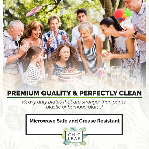 Chic Leaf Palm Leaf Bowls, 5.5 Inch 16oz Disposable Square Bowls, 100% Compostable for Weddings & Catering