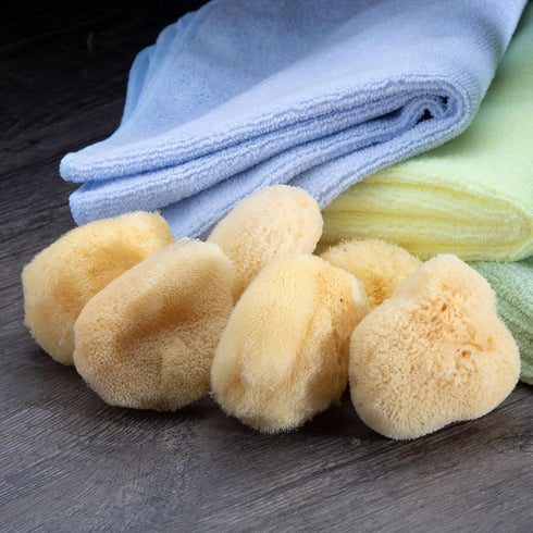 Sea Silk Sponge 6pc Kit, Hand Cut Small Sponges for Cosmetic Use and Facial Cleansing