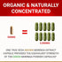 Organic Moringa Capsules - Moringa Oleifera, Natural Herbal Supplement from Moringa Leaves, Certified USDA Organic,