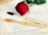 Bamboo Toothbrush Medium Bristle, 10Pcs Biodegradable Bulk Wooden Toothbrushes