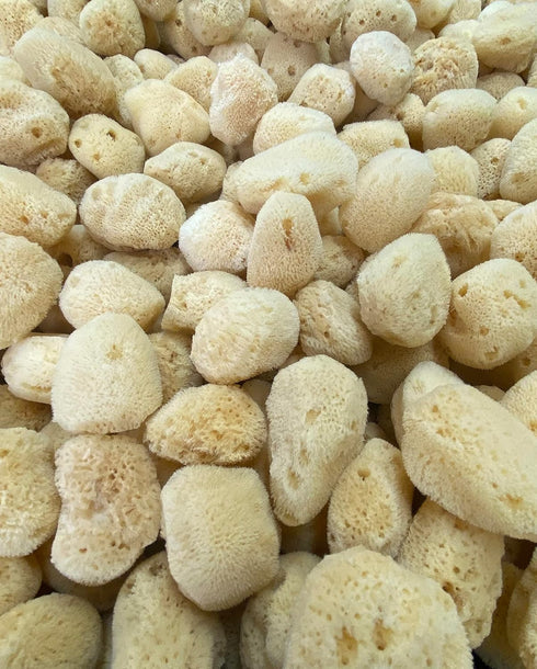 Soft Natural 6 Silk Sponges, Cosmetic Makeup Application Removal for Face, Eye, Nail Cleaning