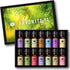P&J Trading Fragrance Oil Favorite Set | Candle Scents for Candle Making,