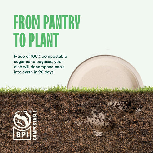 10 Inch Paper Plates, 125-Pack, 100% Compostable Heavy Duty Disposable, Eco-Friendly, Biodegradable Bagasse