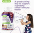 Sambucus Elderberry Gummies for Kids, 3-1 Immune Support - Vitamin D3 & C, Vegetarian, Gelatin Free, Gluten Free, GMO