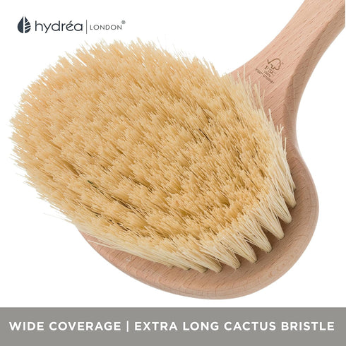 Hydréa London Professional Body Brush - Dry Skin Detox with Extra Long Cactus Bristles
