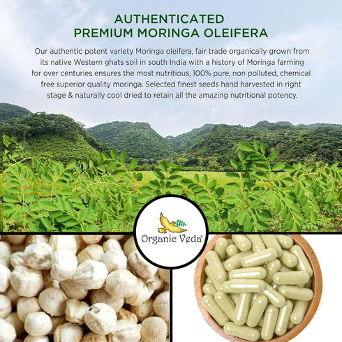 Organic Veda Moringa Seed Capsules - 1000mg Natural Moringa Seed Powder, Nutrients, Antioxidants, 120 Count