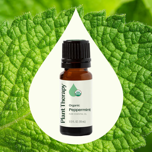 Plant Therapy Organic Peppermint Essential Oil, 100% Pure, USDA Certified Organic, 10 mL (1/3 oz)