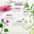 Immune Immune 4oz WishGarden Herbs Daily Builder, Organic Elderberry & Astragalus, Liquid Support Tincture, Echinacea