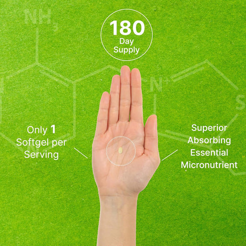 Vitamin K2 Supplement 600mcg, 180 Virgin Coconut Oil Softgels, Full Spectrum MK-7 & MK-4, Bone & Immune Support