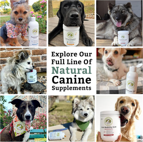 Wholistic Pet Organics Krill Oil for Dogs, Omega 3 Supplement for Itching Skin Relief & Joint Health